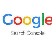 Google Search Console logo for website indexing and performance monitoring